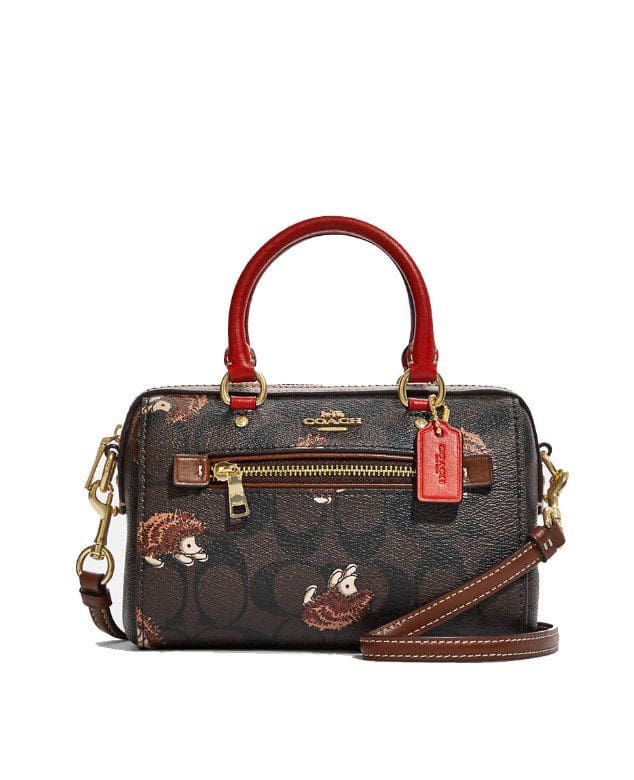 Coach Mini Rowan Crossbody In Signature Canvas With Hedgehog Print