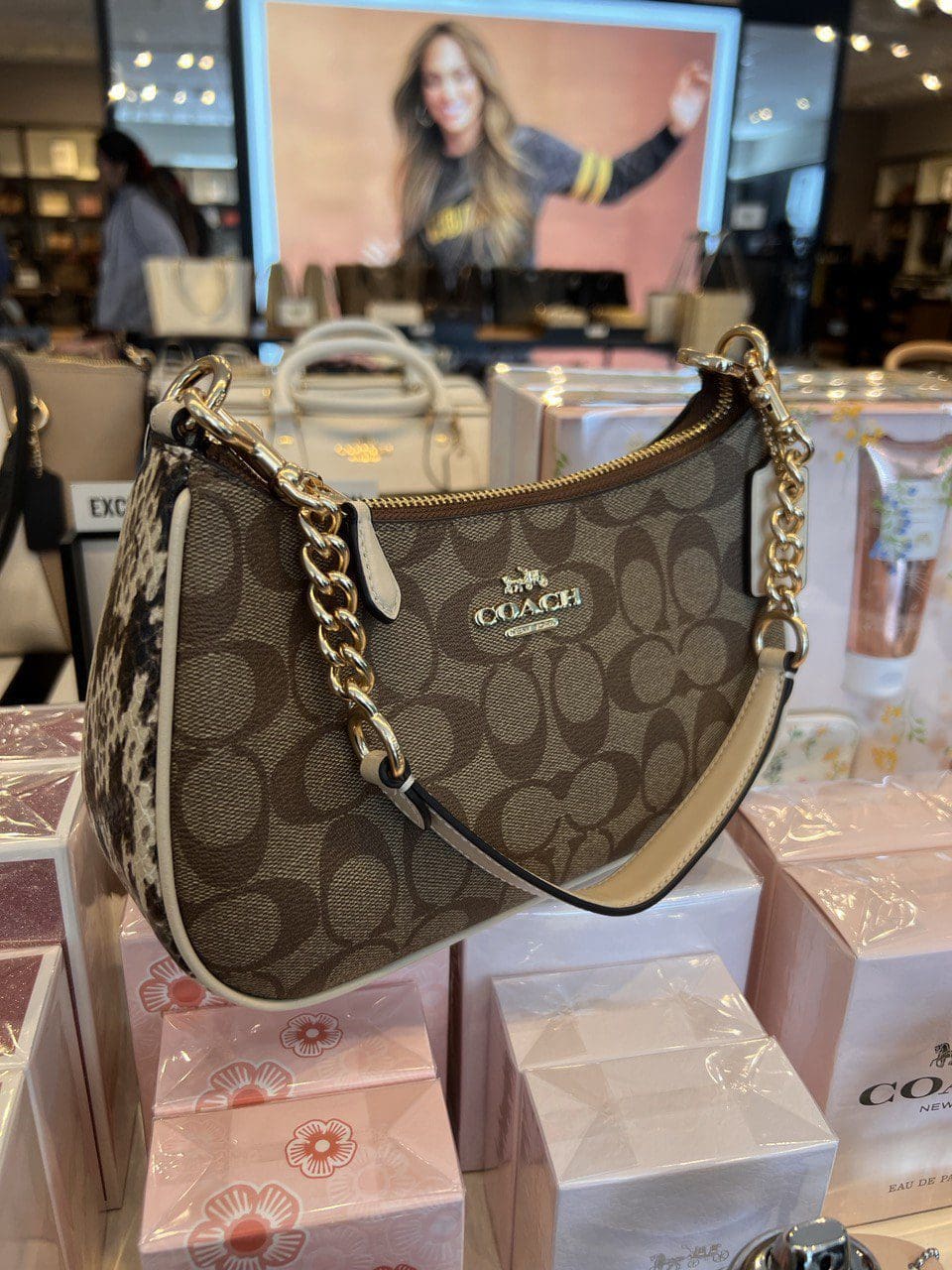 Coach CC323 Teri Shoulder Bag in Khaki Signature Coated Canvas Chalk Smooth  Leather and Snake-embossed Leather - Women's Bag with Strap