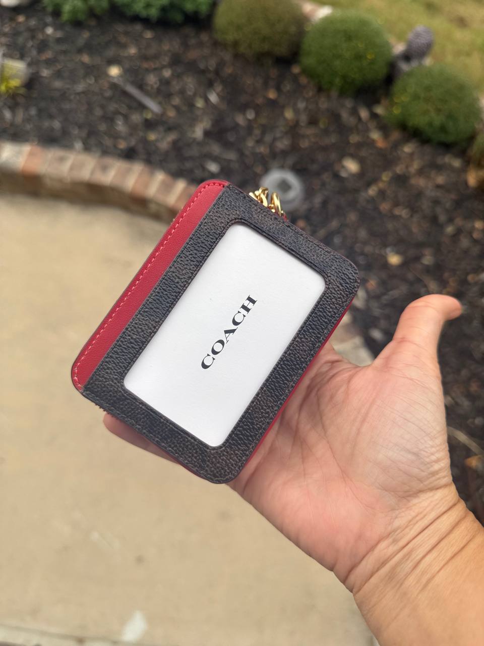 Photo 5179224586518727460 Y