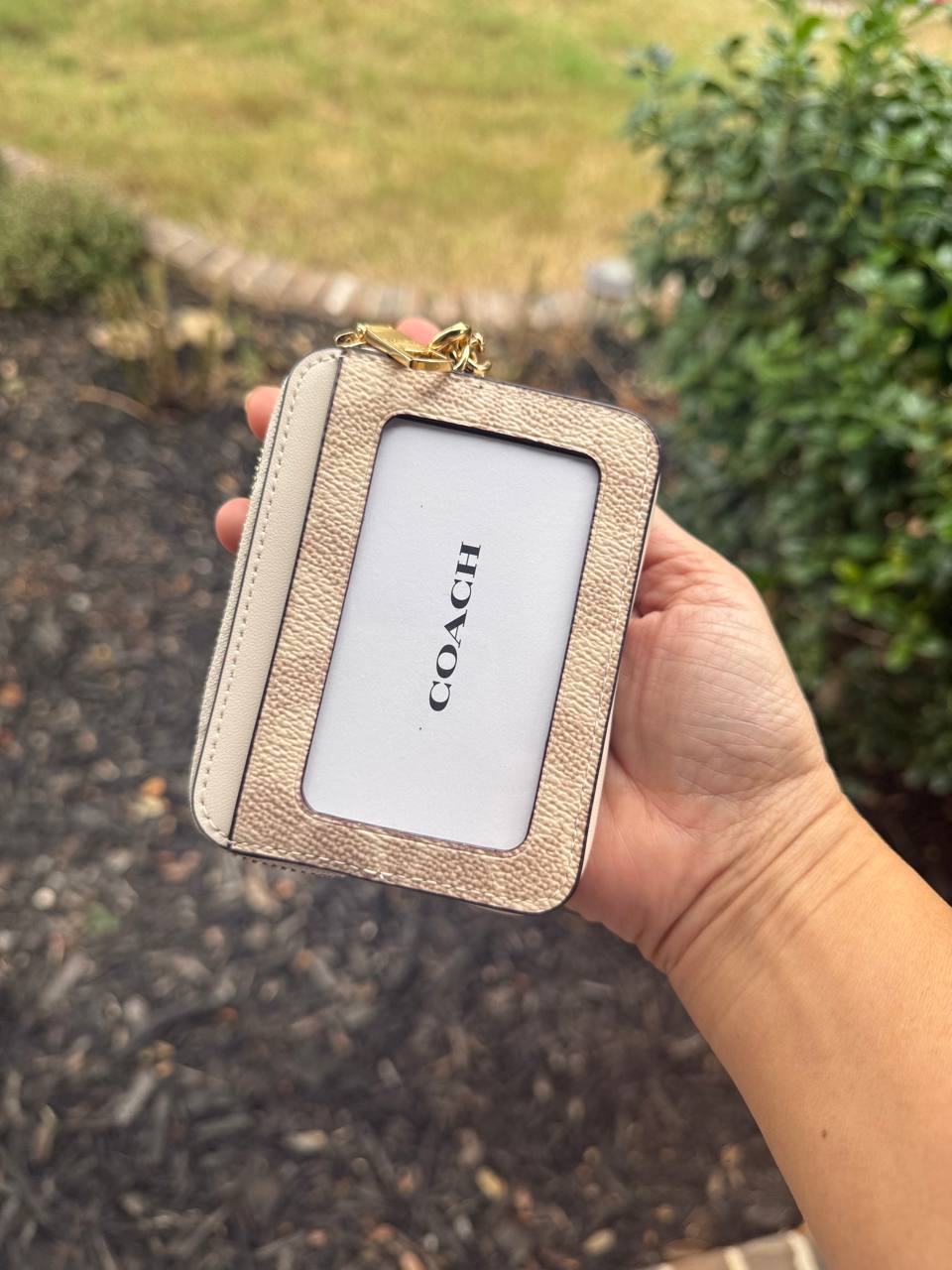 Photo 5179224586518727463 Y