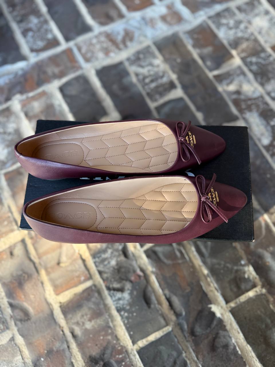 Photo 5024123756862966569 Y