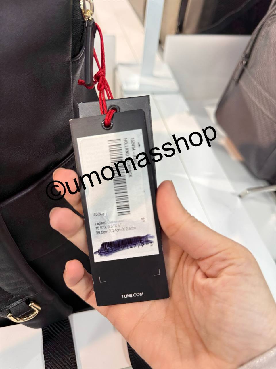 photo_2026-03-02_07-30-53 Photo 2026 03 02 07 30 53