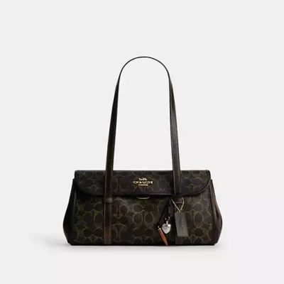 Cdy20 Imbrn A0 Converted