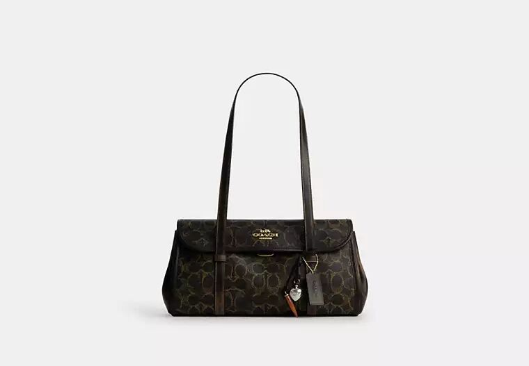 cdy20_imbrn_a0_converted Cdy20 Imbrn A0 Converted